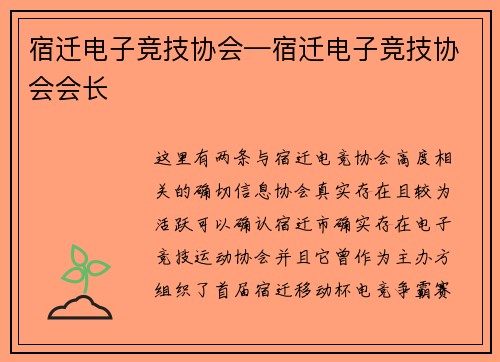 宿迁电子竞技协会—宿迁电子竞技协会会长